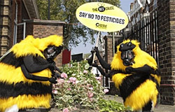 Pic: Bees Say No To Pesticides