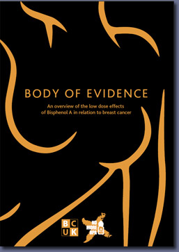 Pic: Body of Evidence report - click to download from the E-Library