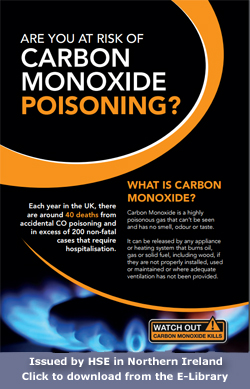 Pic: Carbon Monoxide Arev You At Risk - click to downlaod