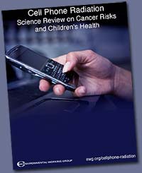 Download the EWG report in full - click the pic