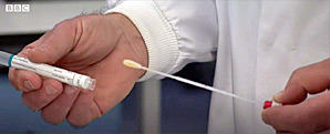 Pic: Swab from DIY test kit