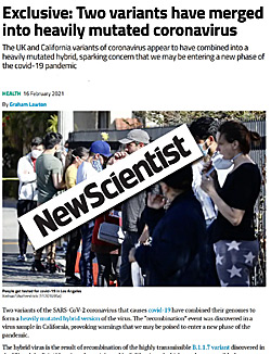 Pic: New Scientists article