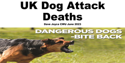 image: UK  Dog Attacks Deaths stats - click to download