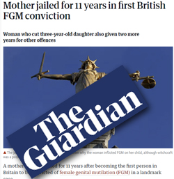 Pic: The Guardian - clcik to go to news item