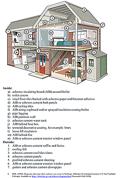 image: HSE Asbestos in the home - click to download
