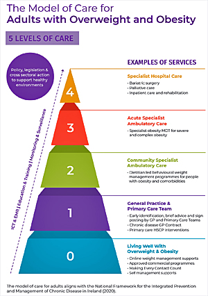 image: Irish model of care and management of obesity - click to download