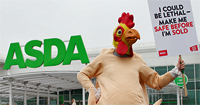 Pic: click to sign the petition