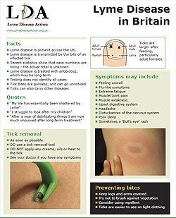 One of several leaflets available from the Lyme Disease Action website - click here