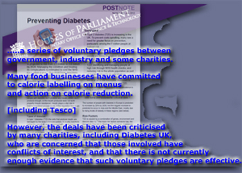 Pic: Parliamentary report into Diabetes prevention - click to download