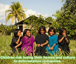 Pic: children of the rain forest