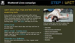 Shattered Lives website pic