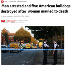Image: Dangerous Dog Kills