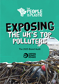 image: SAS Brand Audit - click to download in PDF format