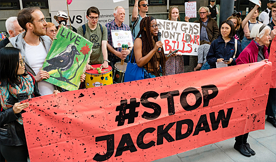 image: Stop Jackdaw Demo